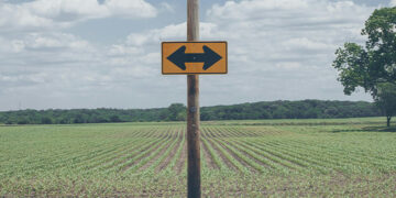 The Predicament of Jesuit Higher Education