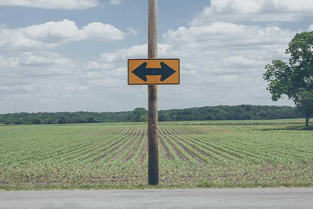 The Predicament of Jesuit Higher Education