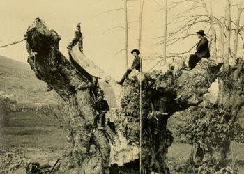 Understanding ‘Mission’ and Jesuit Education: An Introduction