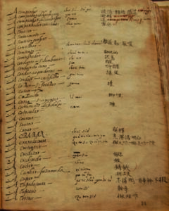 Page of the Portuguese-Chinese Dictionary of Matteo Ricci and Michele Ruggeri
