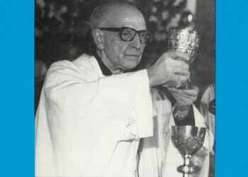 Front cover of the volume Other Apostolate Today