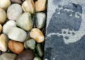 Inquietud: Reflections on a Pebble in One’s Sandal